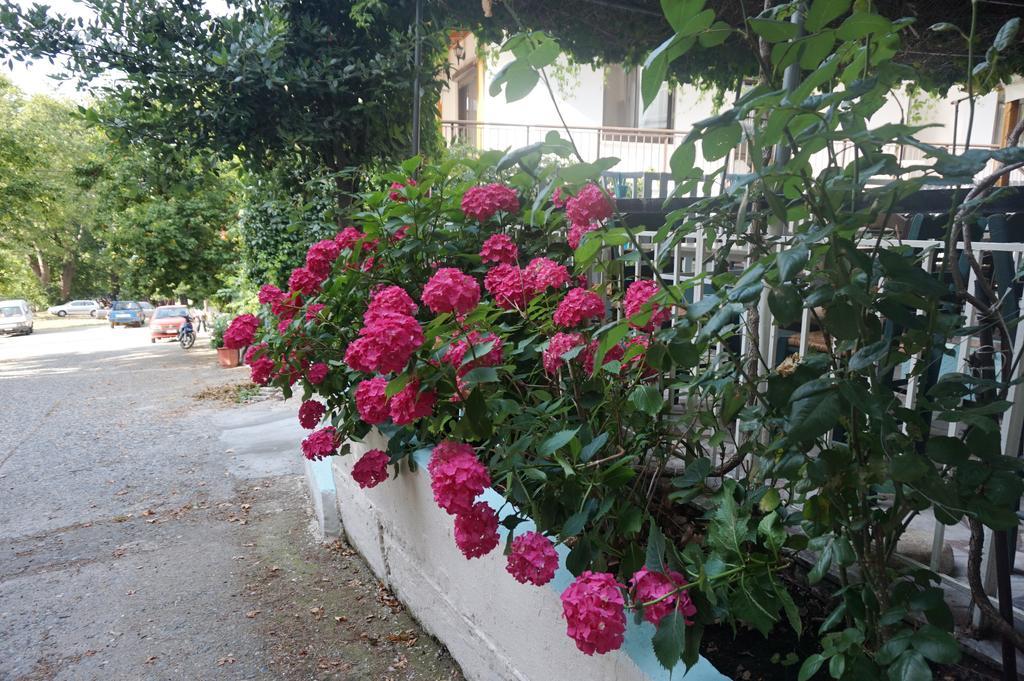 Galini Samothraki Hotel Therma  Luaran gambar