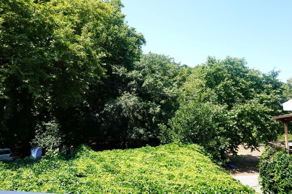 Galini Samothraki Hotel Therma  Luaran gambar